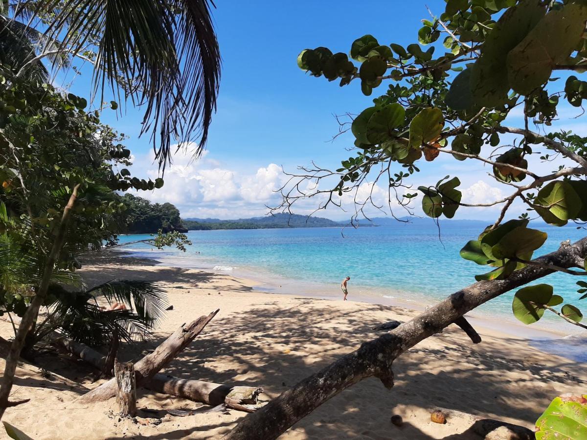 Ocean'S Breeze Apartment And Rooms Puerto Viejo de Talamanca 외부 사진