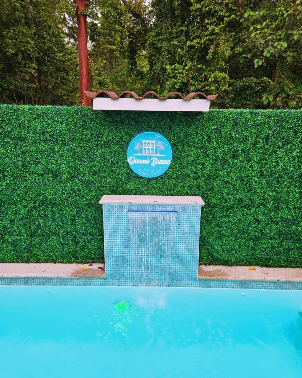 Ocean'S Breeze Apartment And Rooms Puerto Viejo de Talamanca 외부 사진